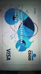 Visa card